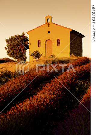 chapel with lavender field, Valensole, Provence chapel with lavender field, Valensole, Provence 23373597
