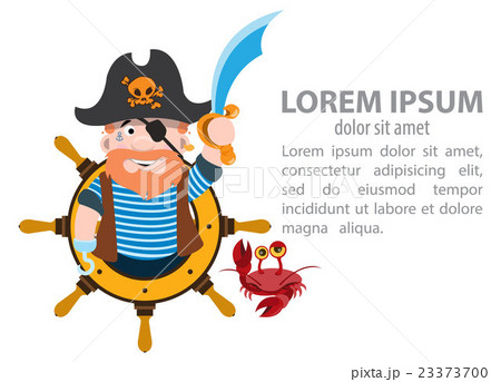 Infographics pirate Infographics pirate 23373700