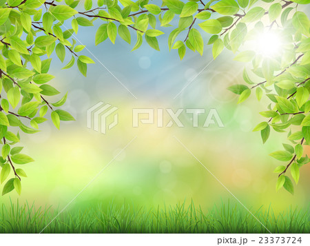 summer background with green leaves 23373724