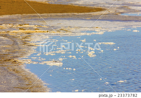 Parc Regional de Camargue, Provence, France 23373782