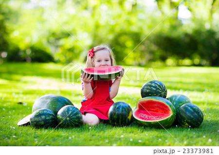 Little girl eating watermelon in the garden Little girl eating watermelon in the garden 23373981
