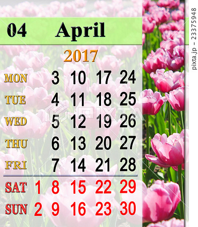 calendar for April 2017 with lilac tulips 23375948