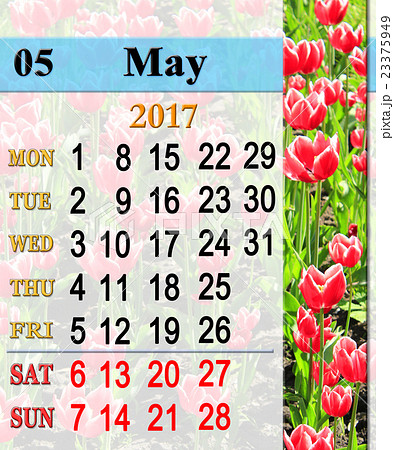 calendar for May 2017 with red tulips 23375949