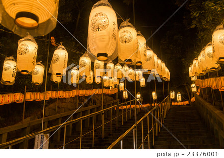 東本願寺・東大谷の万灯会 23376001