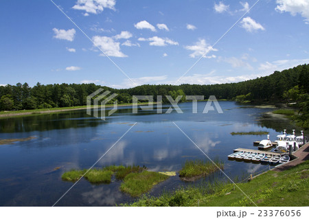 大座法師池 23376056