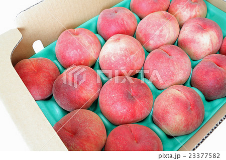 箱入り桃、日川白鳳 23377582