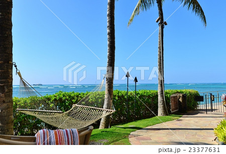 ハワイの休日 ハワイの休日 23377631