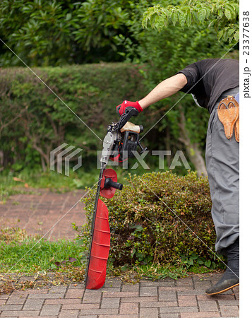 庭師 23377638