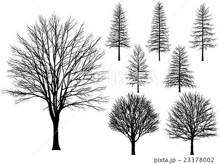 木 冬枯れ ベクターのイラスト素材 23378002 Pixta