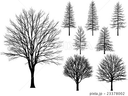 木 冬枯れ ベクターのイラスト素材