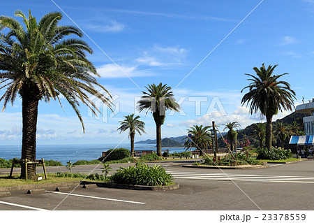 宮崎県宮崎市日南海岸の堀切峠(道の駅フェニックス) 宮崎県宮崎市日南海岸の堀切峠(道の駅フェニックス) 23378559