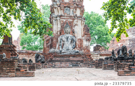 Buddha Buddha 23379735