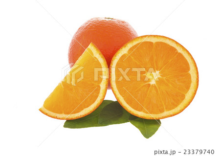 Orange Orange 23379740