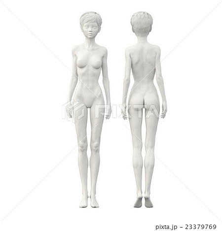 人体模型 女性 ホワイトフルヌード perming3DCG イラスト素材の