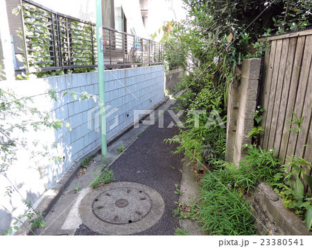 路地の風景 路地の風景 23380541