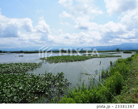 潟　～沼～ 23381387