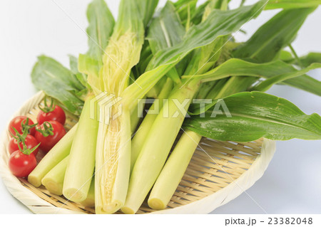 やさい ヤングコーン やさい ヤングコーン 23382048