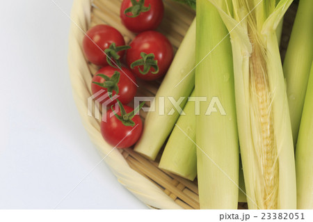 やさい　ヤングコーン 23382051