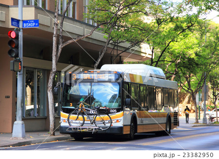 The BUS The BUS 23382950