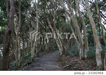 伊勢志摩2 23382968