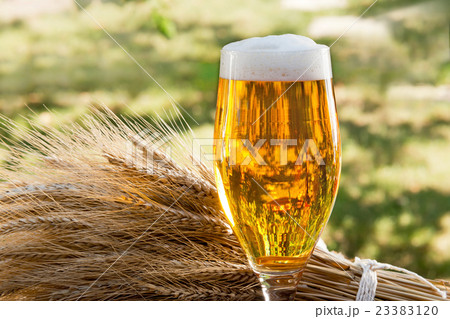 beer glass and raw material for beer production beer glass and raw material for beer production 23383120