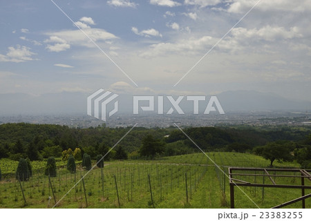 登美の丘（山梨県） 23383255