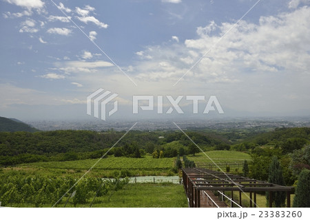登美の丘（山梨県） 23383260