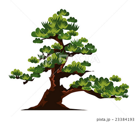 松の木のイラスト素材 23384193 Pixta