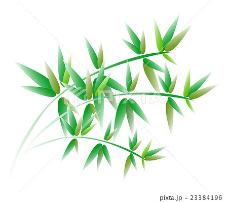 笹 笹 23384196