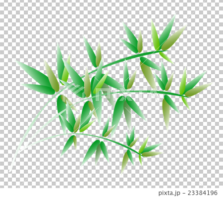 笹 笹 23384196