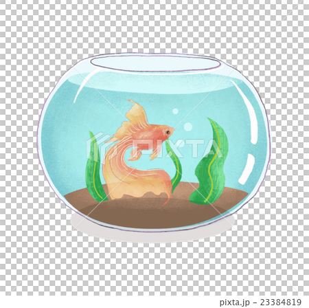 金魚と金魚鉢のイラスト素材