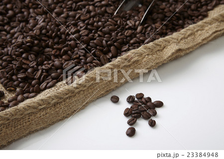 コーヒー豆と一杯のコーヒー コーヒー豆と一杯のコーヒー 23384948