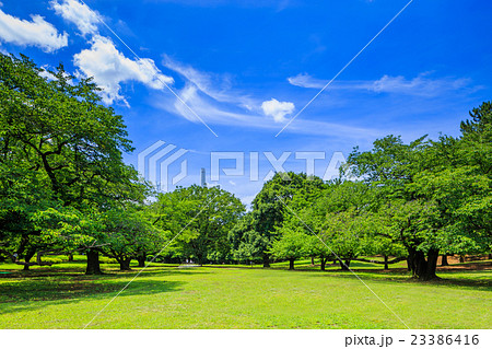 東京　練馬区　光が丘公園の風景 23386416