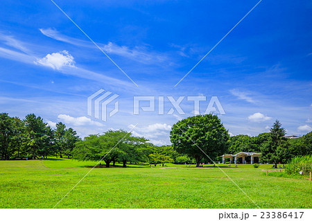 東京 練馬区 光が丘公園の風景 東京 練馬区 光が丘公園の風景 23386417
