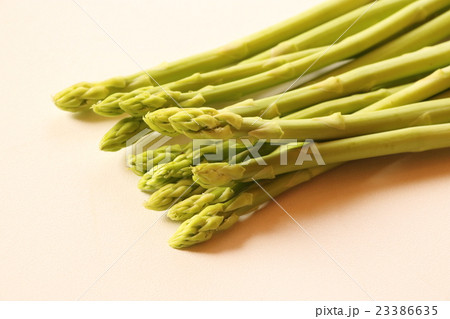 アスパラガス アスパラガス 23386635