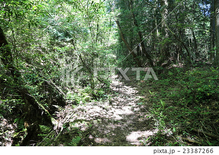 山陽街道の大山峠 山陽街道の大山峠 23387266
