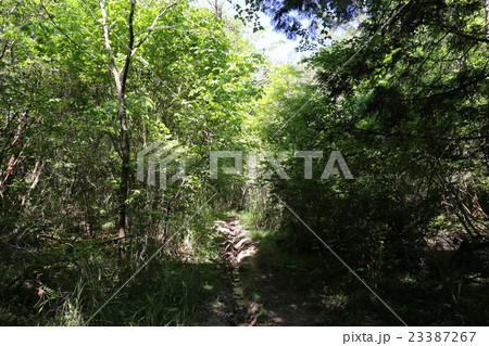 山陽街道の大山峠 23387267