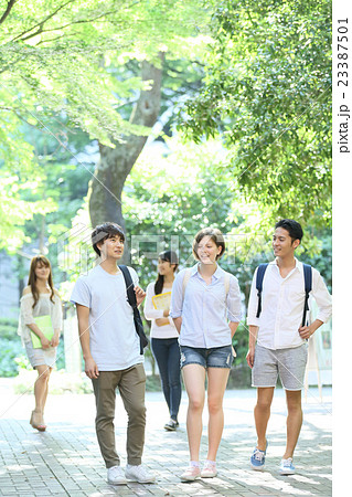 大学生・専門学生　イメージ 23387501