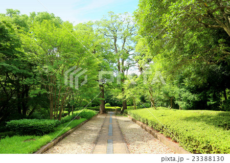 戸定が丘歴史公園（7月）千葉県松戸市 23388130