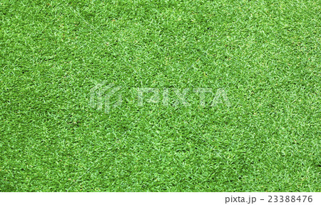 Football field green grass Football field green grass 23388476