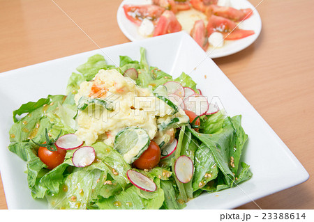 サラダ サラダ 23388614