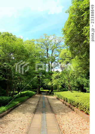 戸定が丘歴史公園（7月）千葉県松戸市 23388649