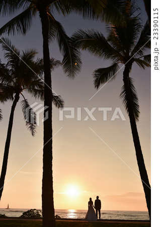 夕暮れ 23390115