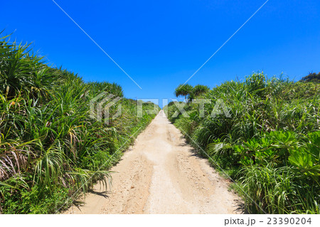 沖縄　久高島　カベール岬へと続く一本道 23390204