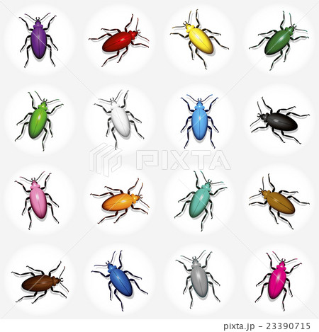 Beetles Colorful Swarm Of Insects 23390715
