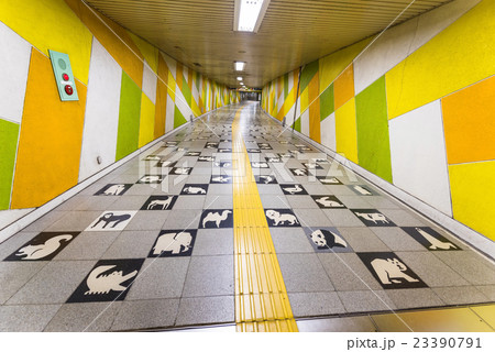 subway animal footpath of Maruyama station Sapporo subway animal footpath of Maruyama station Sapporo 23390791