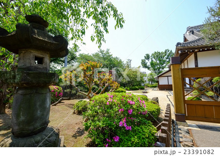 川越城本丸御殿（庭） 23391082