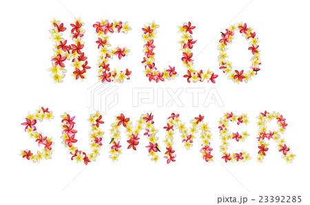 Hello summer title 23392285