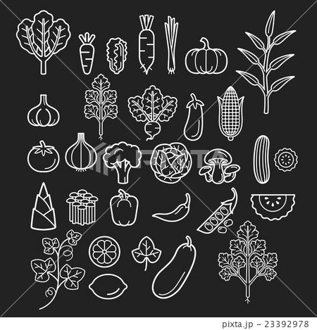 Vegetables icons. Vector Illustration. 23392978