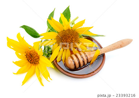 bee honey and sunflower bee honey and sunflower 23393216